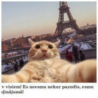 VietējaisMurisDzivelīigs.