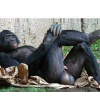 zinātājs turpina ģērēt nezinātajus