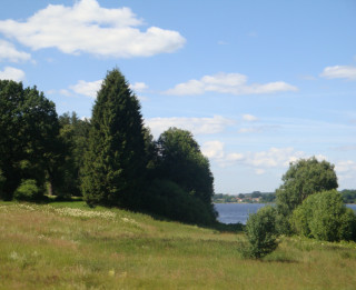 Bezdarbnieka īpašums