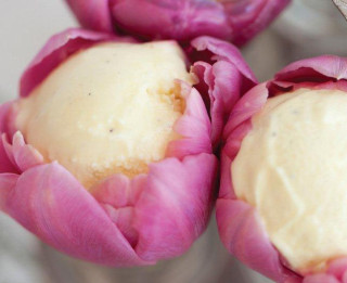 Saldējums ar tulpju ziedu sīrupu