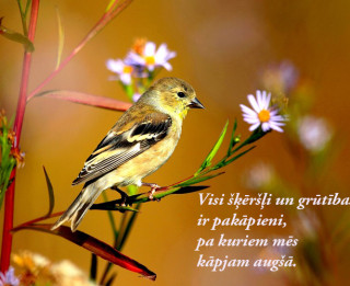3.septembra dienas horoskops sadarbībā ar astrologi.lv