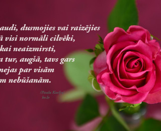 Tava vārda skaidrojums (nozīme) un ietekme uz tavu likteni. 23.septembris- Vanda, Venija, Veneranda
