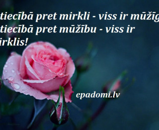 Tava vārda skaidrojums (nozīme) un ietekme uz tavu likteni. 4.oktobris- Modra, Francis, Dmitrijs