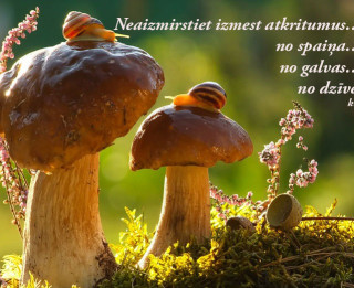 9. oktobra dienas horoskops sadarbībā ar astrologi.lv