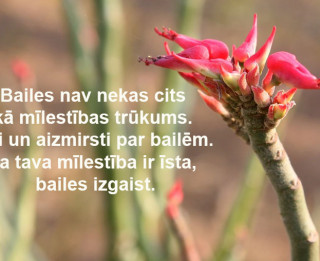 16. maija dienas horoskops sadarbībā ar astrologi.lv