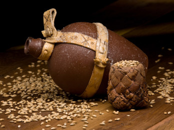 13 interesanti fakti par alu un alus darīšanu