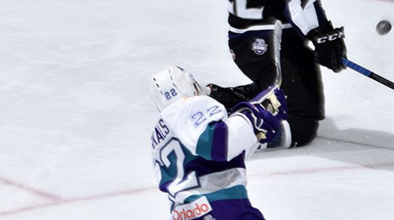 Mārtiņš Dzierkals 
Foto: Orlando Solar Bears