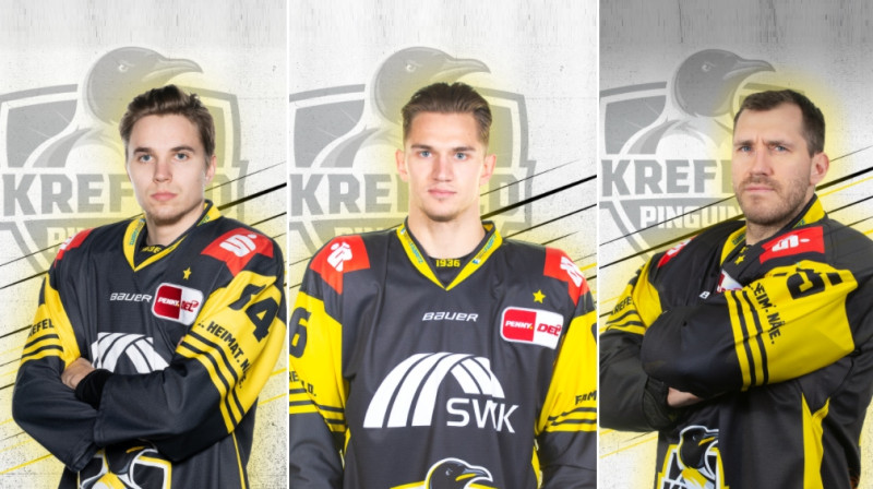 Foto: krefeld-pinguine.de