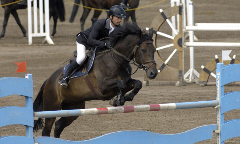 Aizvadīts Latvijas čempionāts jāšanas sportā jaunzirgu, poniju un amatieru konkurencē