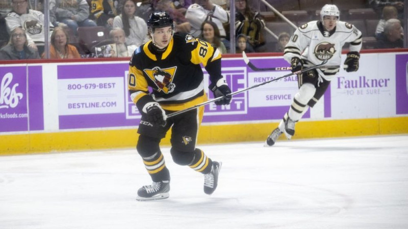 AHL vienība ''Penguins'' nosūta Ansonu uz ECHL komandu