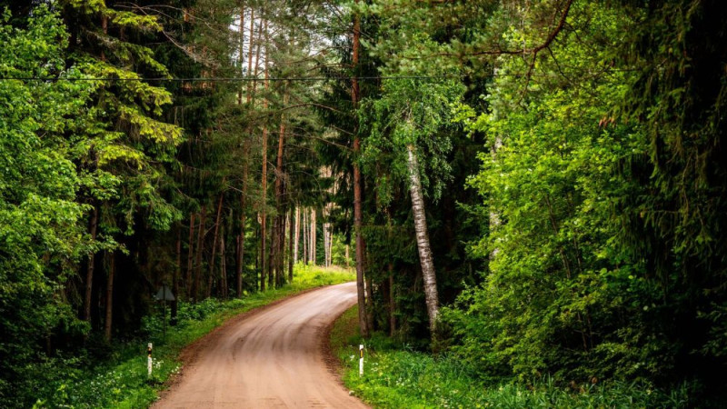 Atcelta rallijsprinta "Vidzeme" norise